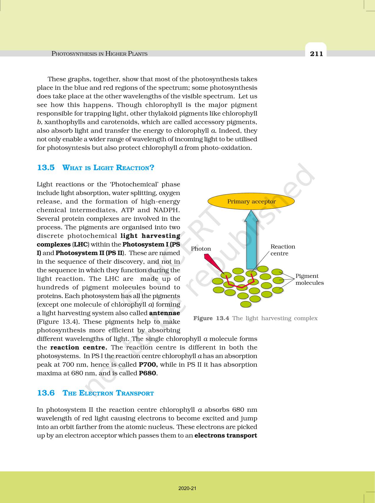 Photosynthesis In Higher Plants - NCERT Book Of Class 11 Biology